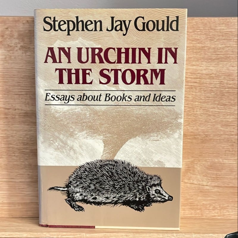 An Urchin in the Storm