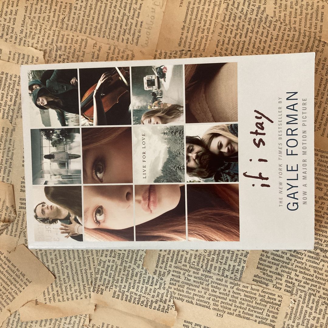 Sale image for 4ac42398-3a6a-48ba-872d-a626ae868d0d-zBbpXnUan7O1MwPC41jNEUtUf7s1