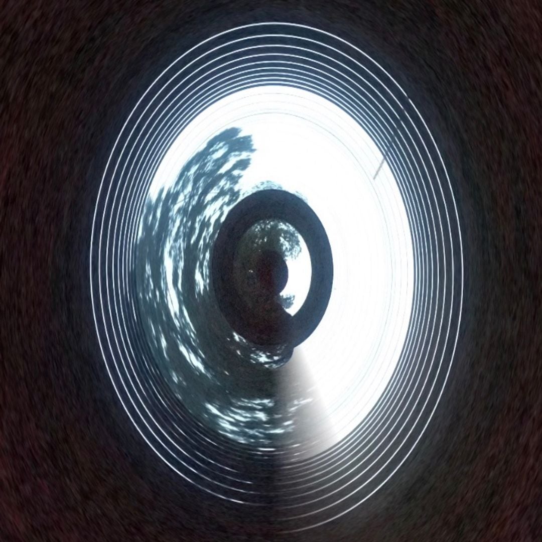 D K