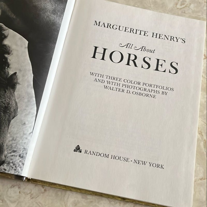 All about Horses