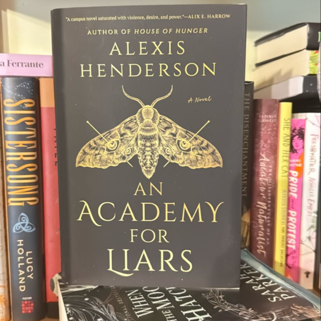 An Academy for Liars book cover