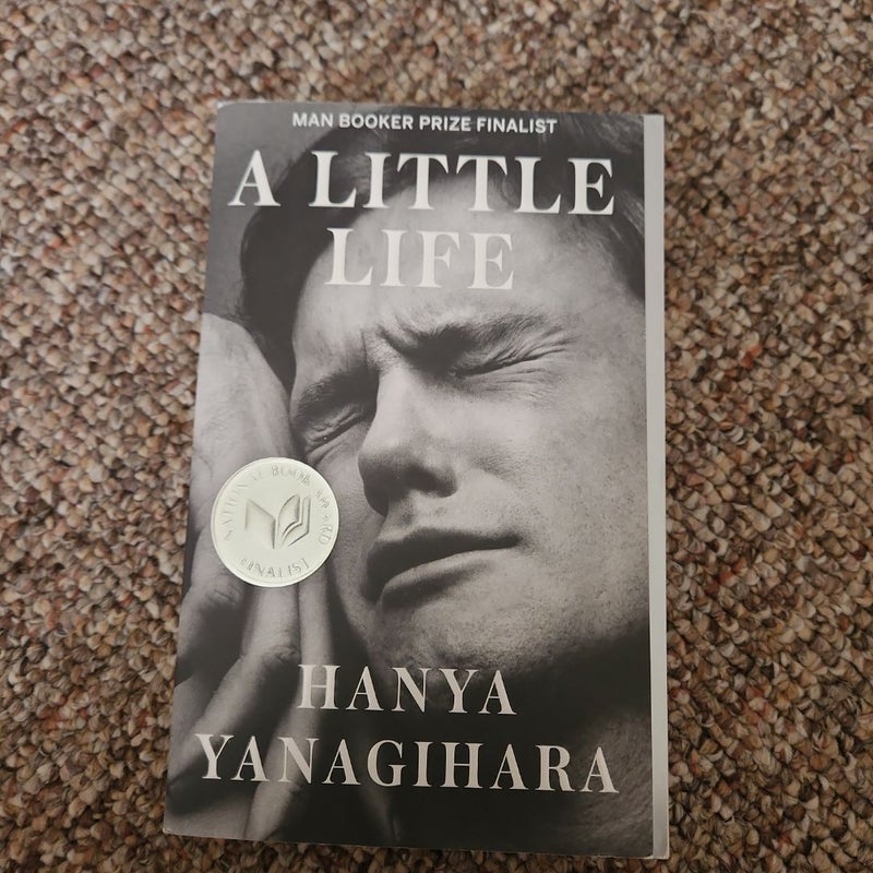 A Little Life