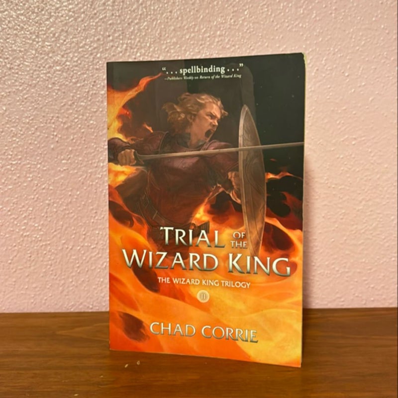 The Wizard King Trilogy