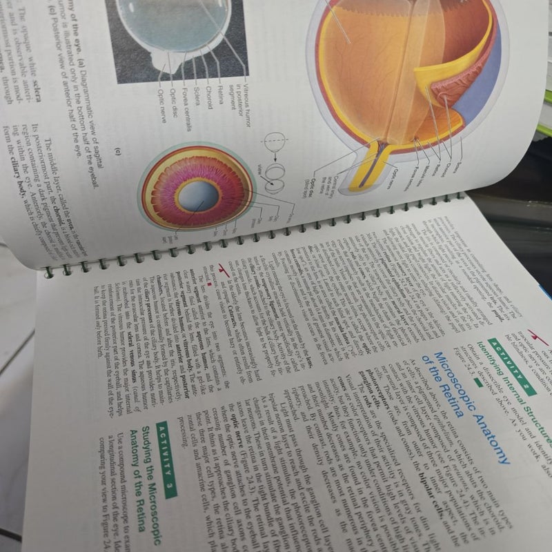 Human Anatomy and Physiology Laboratory Manual, Main Version, Update