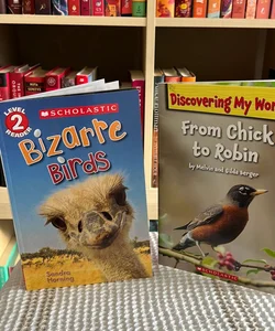 Bizarre Birds (Scholastic Reader, Level 2)