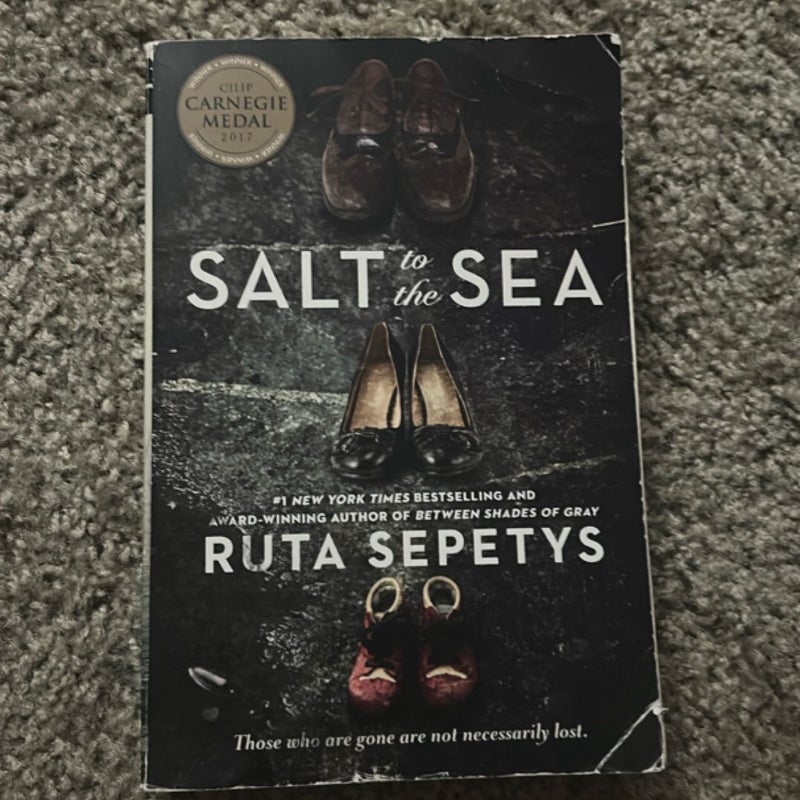 Salt to the Sea