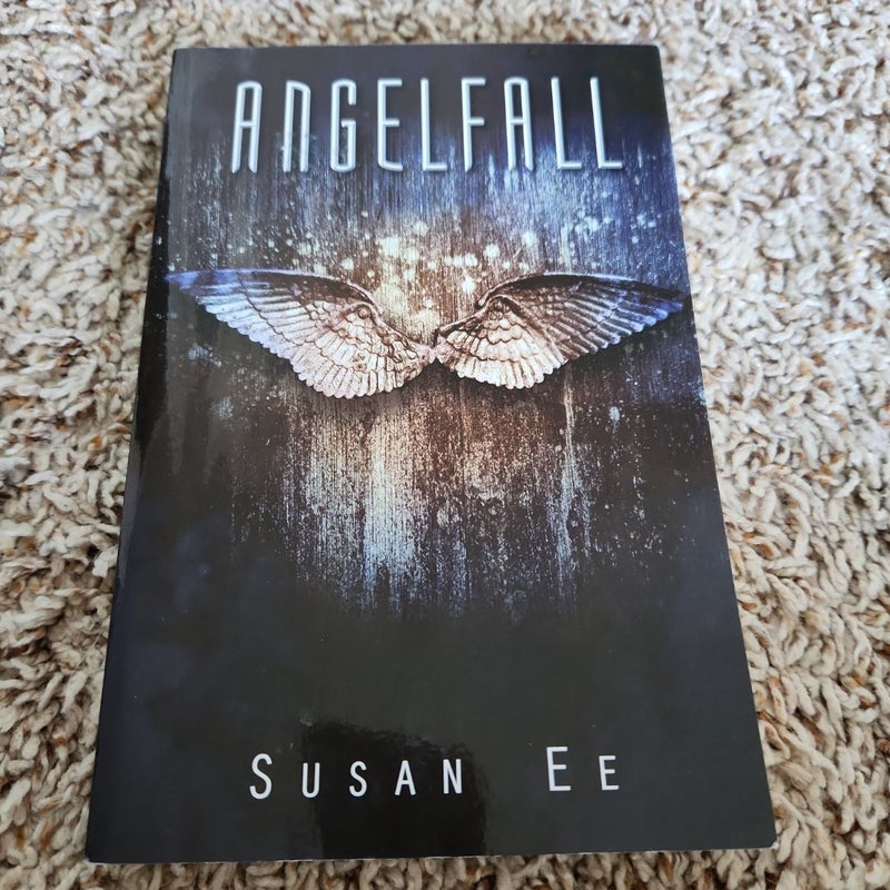 Angelfall