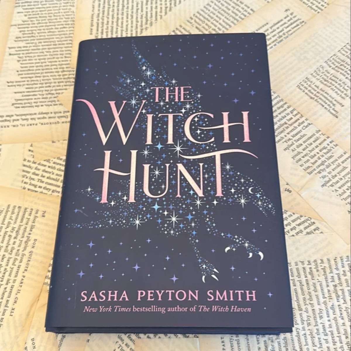 The Witch Hunt by Sasha Peyton Smith