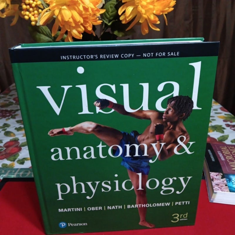 Visual Anatomy and Physiology