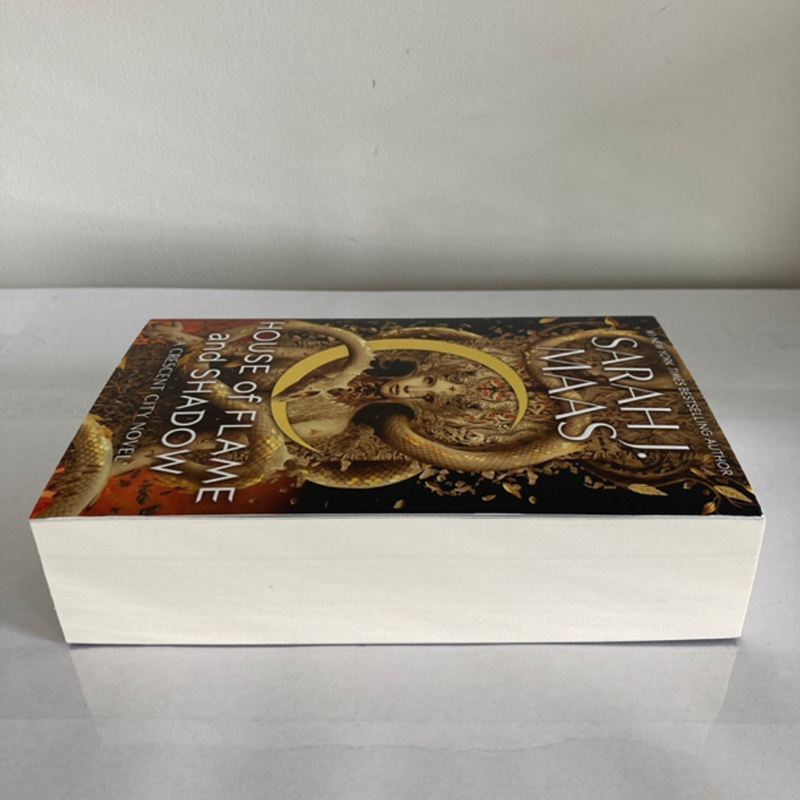 House of Flame and Shadow UK Paperback Edition 