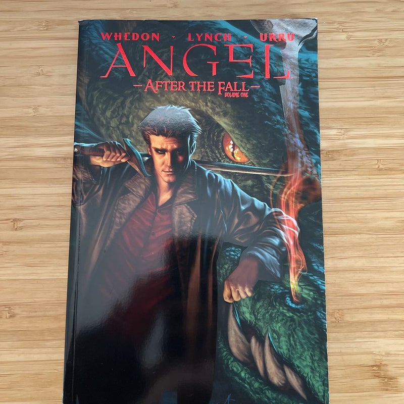 Angel: after the Fall, Vol. 1