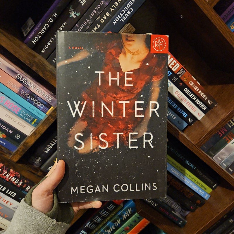 The Winter Sister