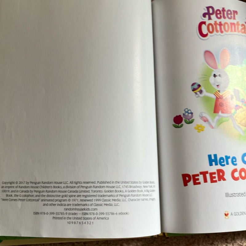 Here Comes Peter Cottontail: A Big Golden Book (Peter Cottontail)