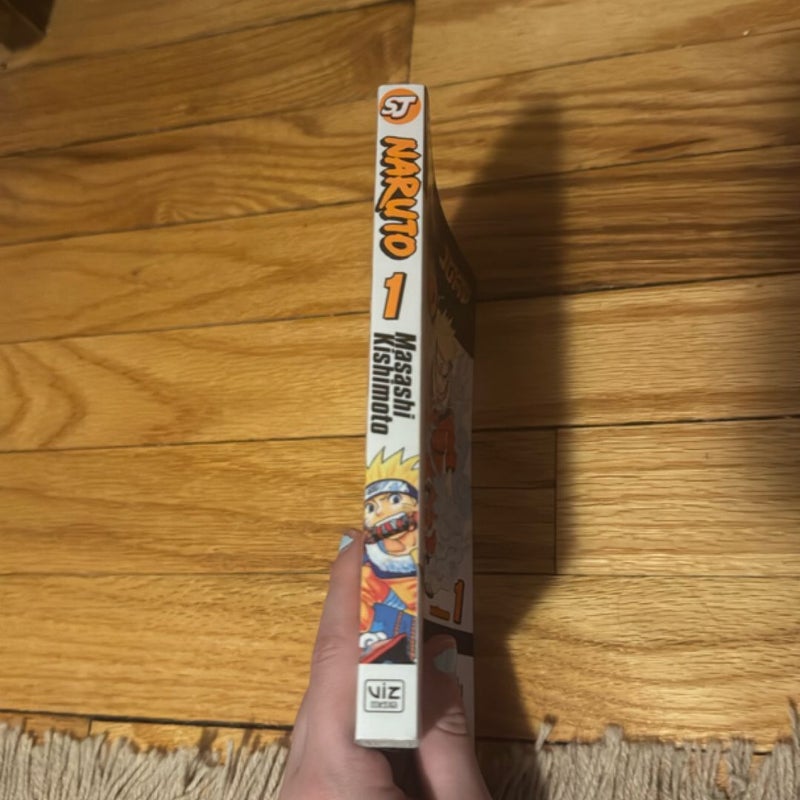 Naruto, Vol. 1