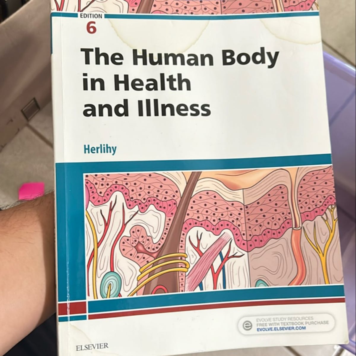 The Human Body in Health and Illness by Barbara Herlihy