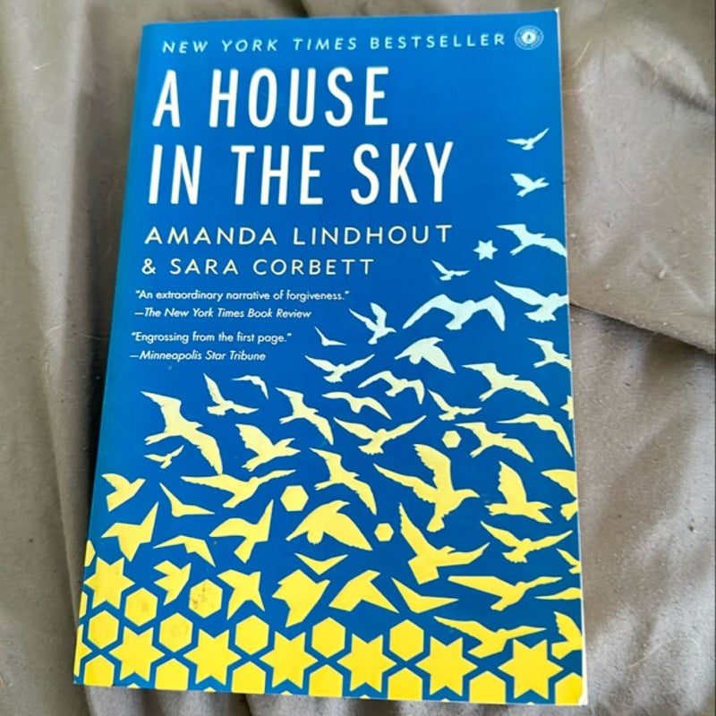 A House in the Sky