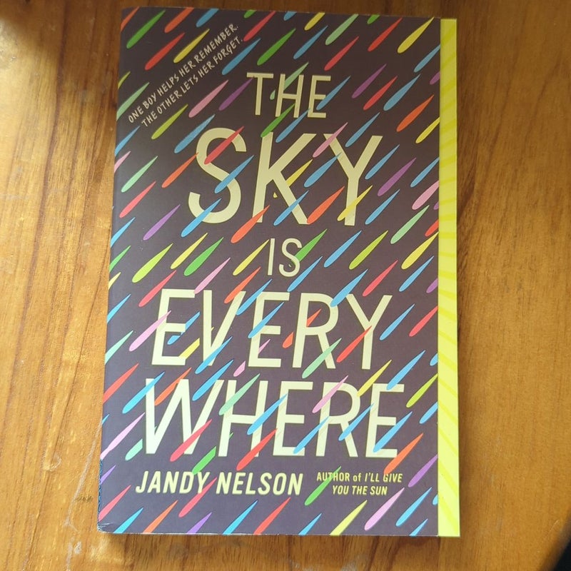 The Sky Is Everywhere by Jandy Nelson