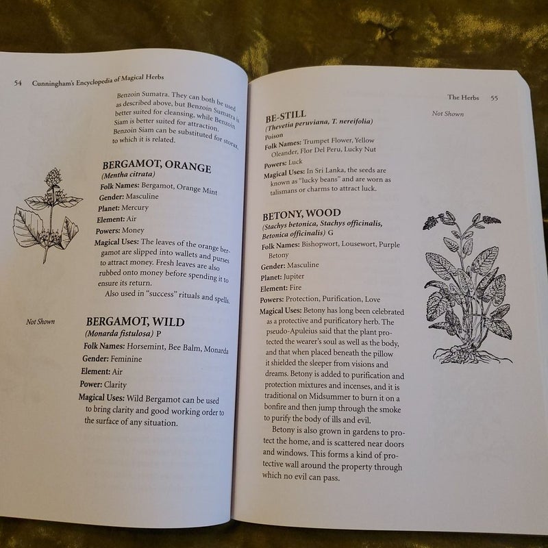 Cunningham's Encyclopedia of Magical Herbs