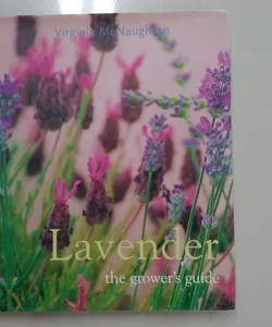 Lavender