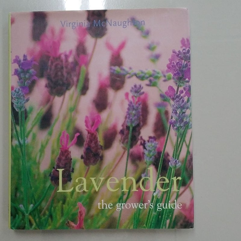 Lavender