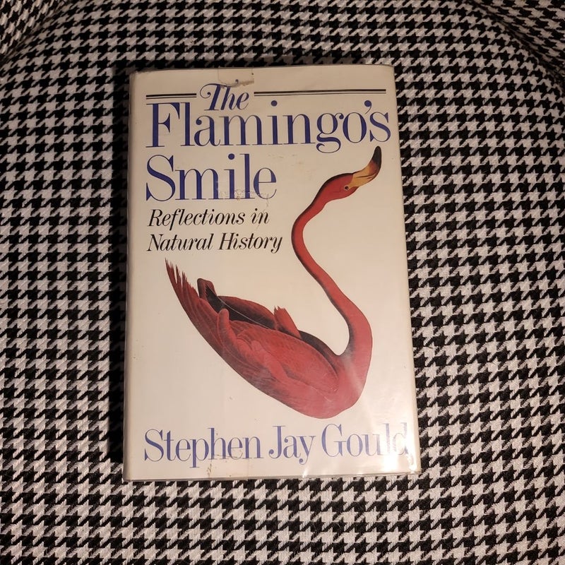 The Flamingo's Smile