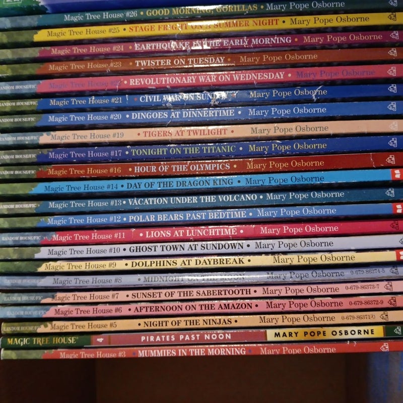 Magic Tree House Lot