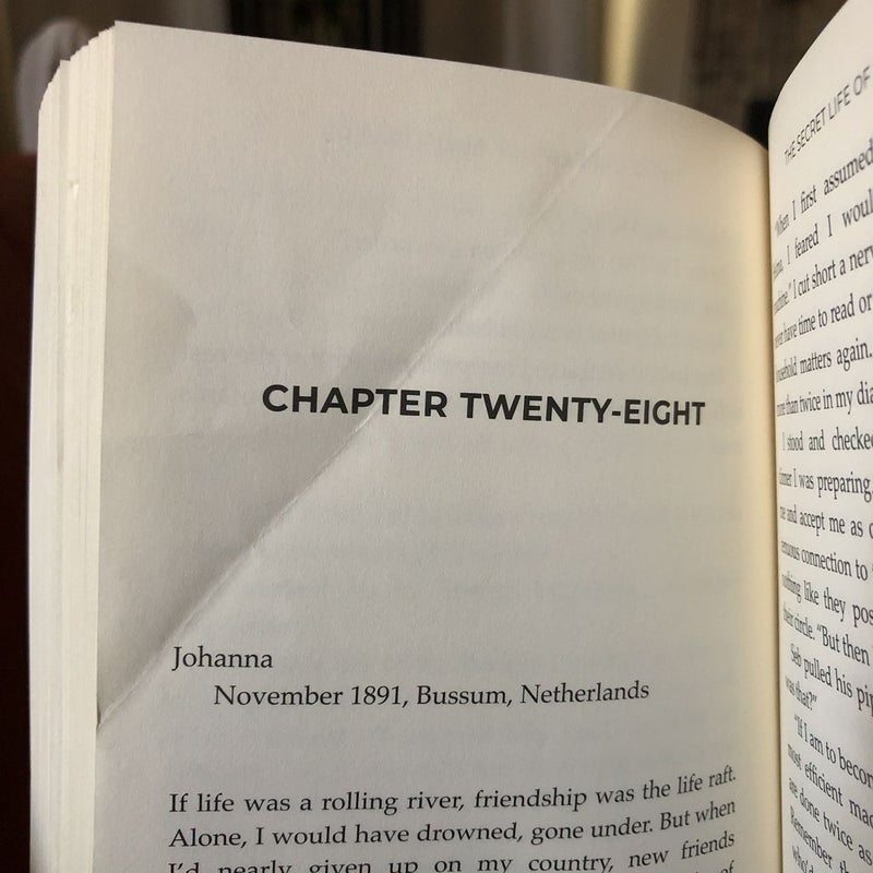 the-secret-life-of-sunflowers-by-marta-molnar-paperback-pangobooks