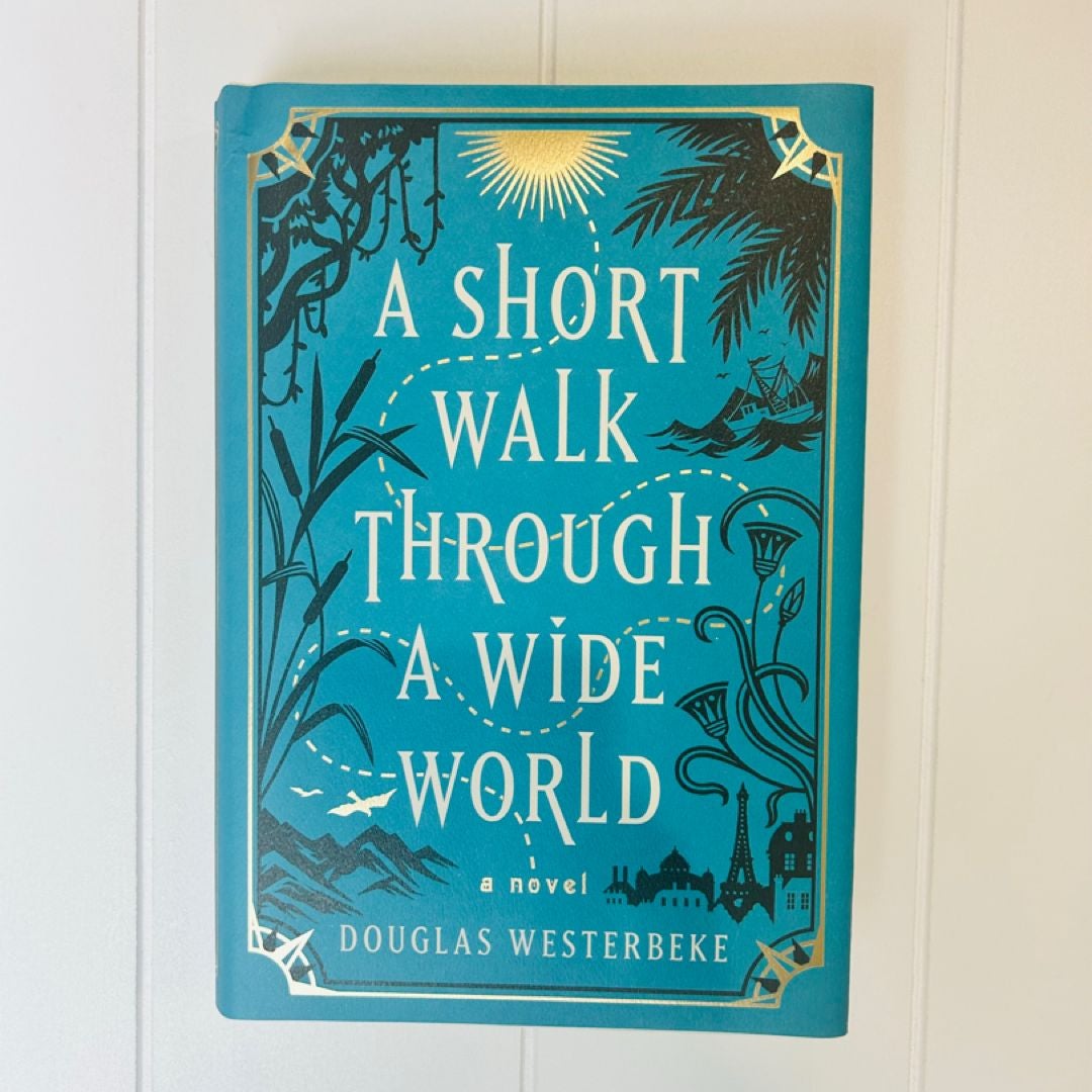 A Short Walk Through a Wide World