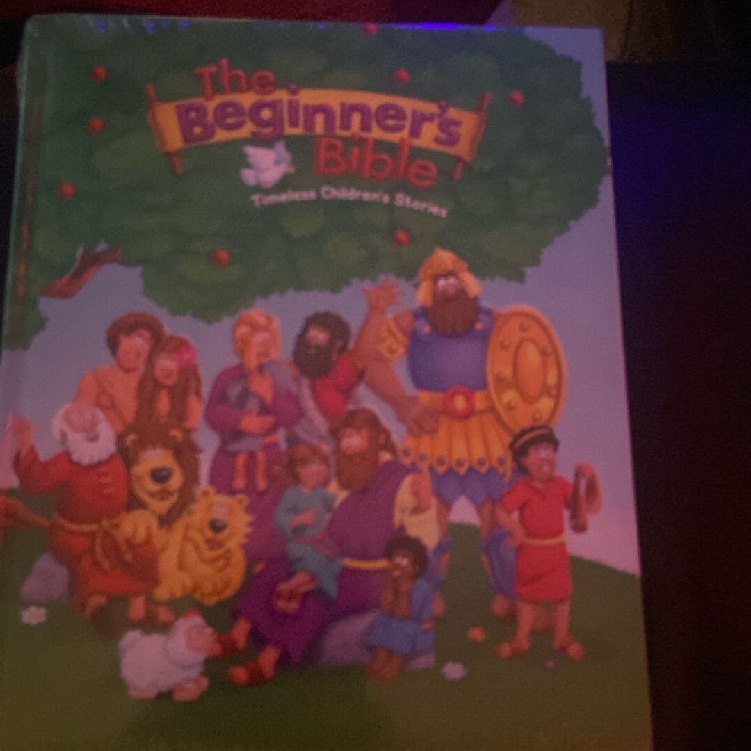 The Beginner's Bible