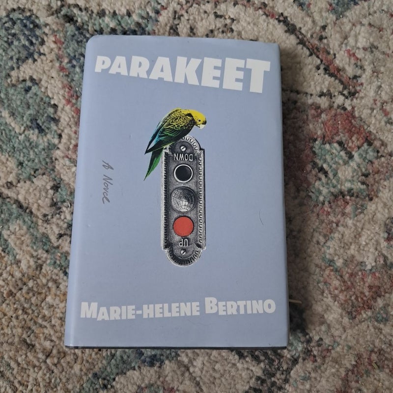Parakeet