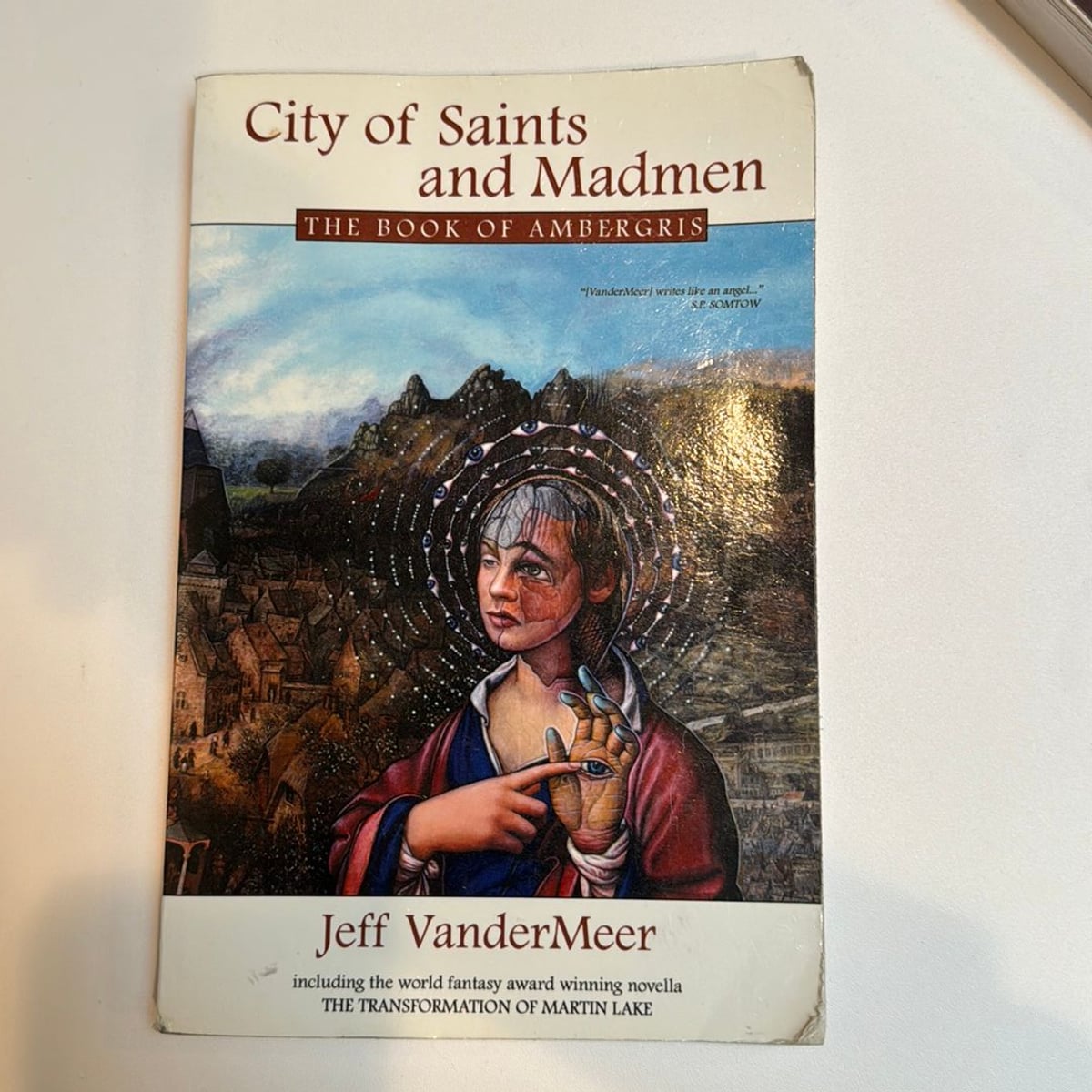 City of Saints and Madmen by Jeff VanderMeer
