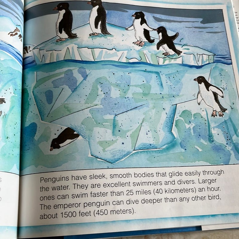 Penguins!