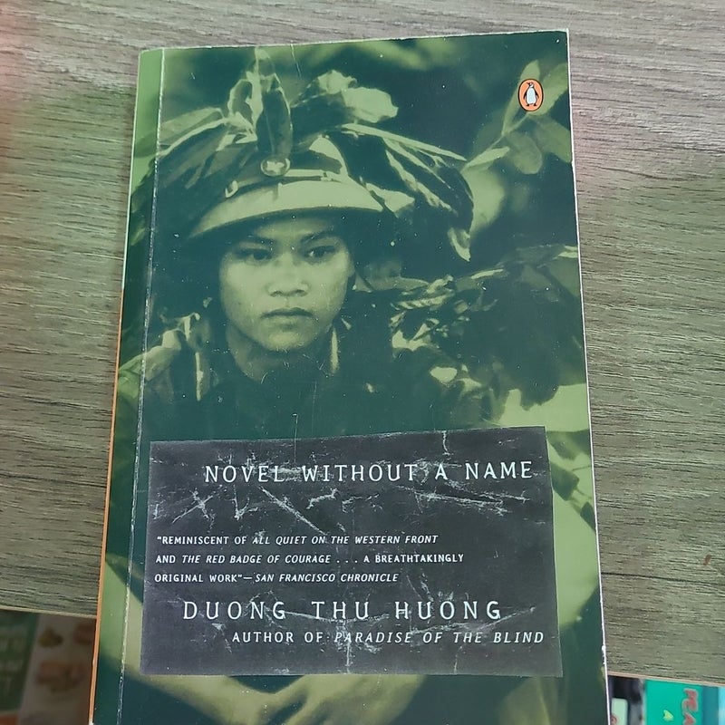 Novel Without a Name