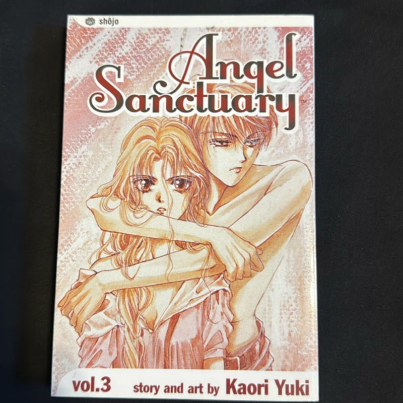 Angel Sanctuary Vol 3