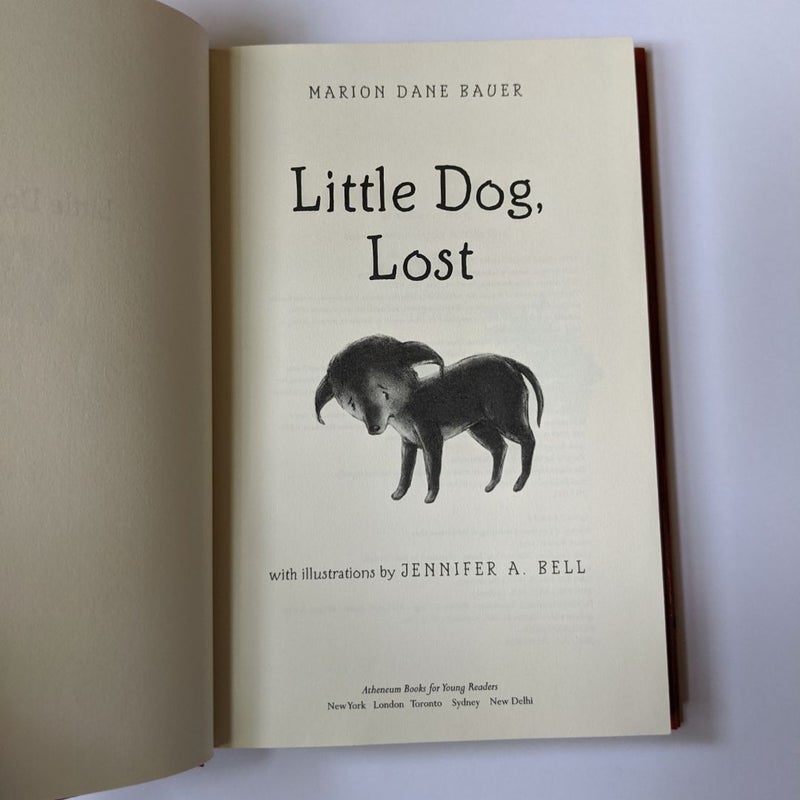 Little Dog, Lost