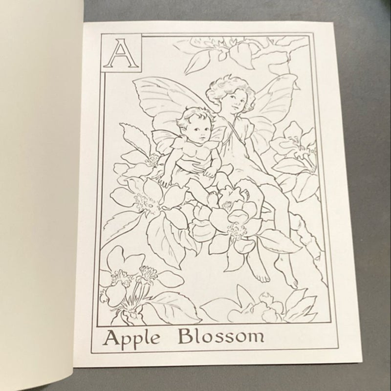 Flower Fairies Alphabet Coloring Book