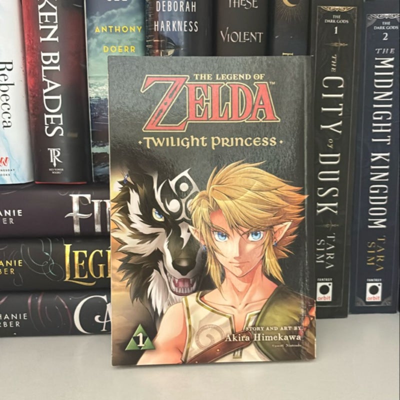 The Legend of Zelda: Twilight Princess, Vol. 1