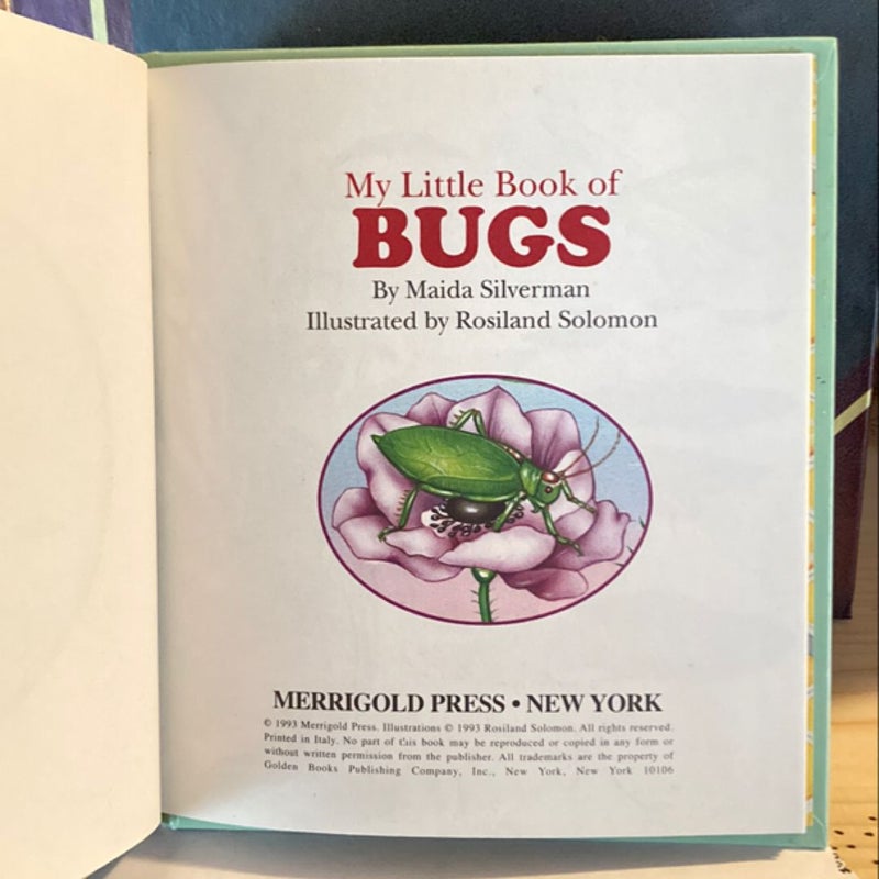 My Little Book of Bugs (VINTAGE 1993)