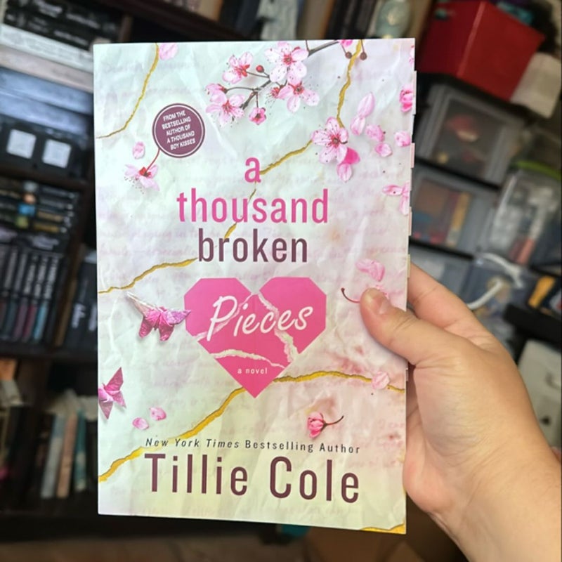 A Thousand Broken Pieces