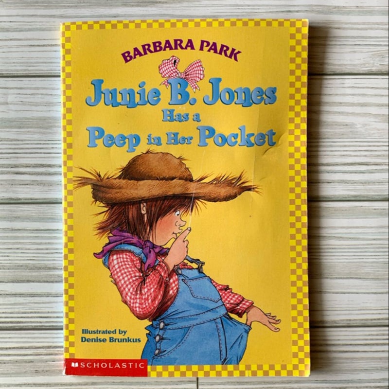 Junie B Jones 3 book bundle 