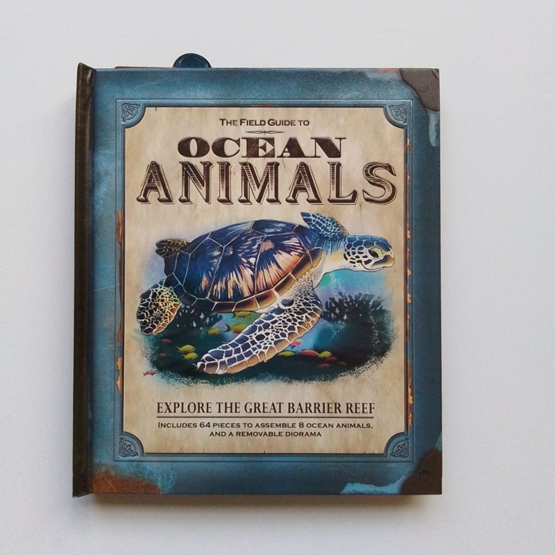 Guide to Ocean Animals