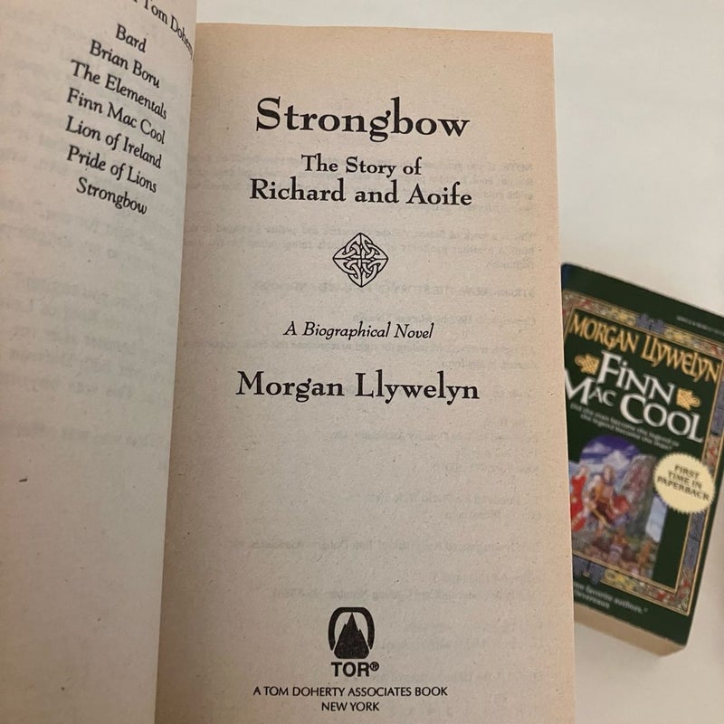Morgan Llywelyn Historical Fiction Bundle