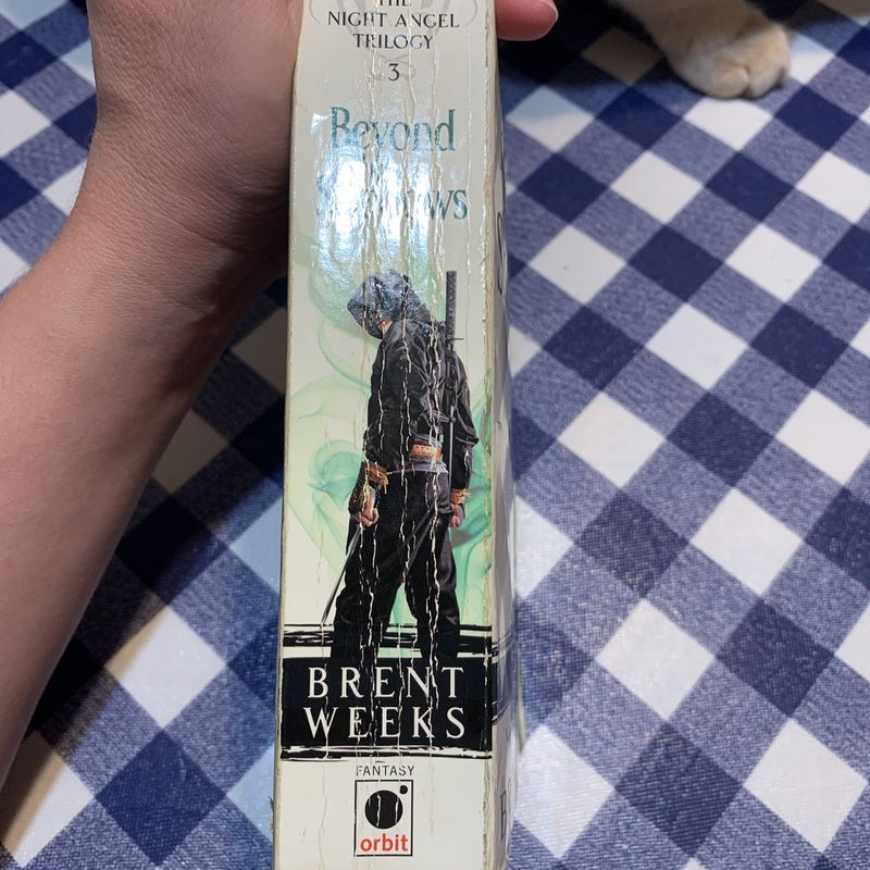 Beyond the Shadows