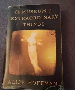 The museum of extraordinary things