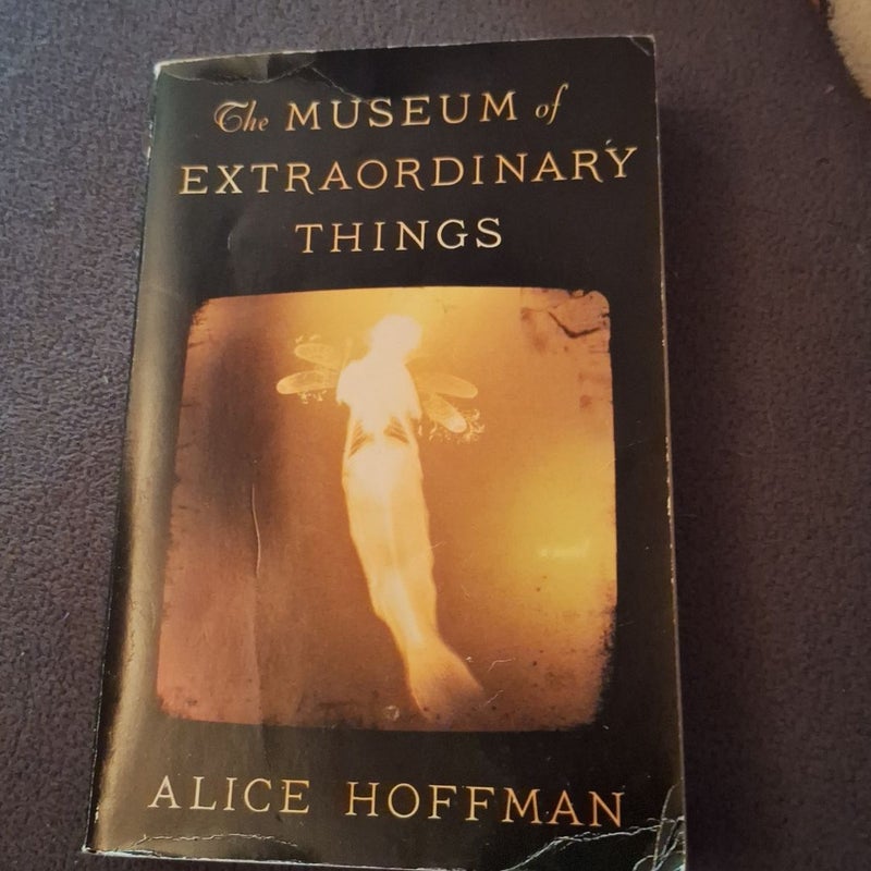 The museum of extraordinary things