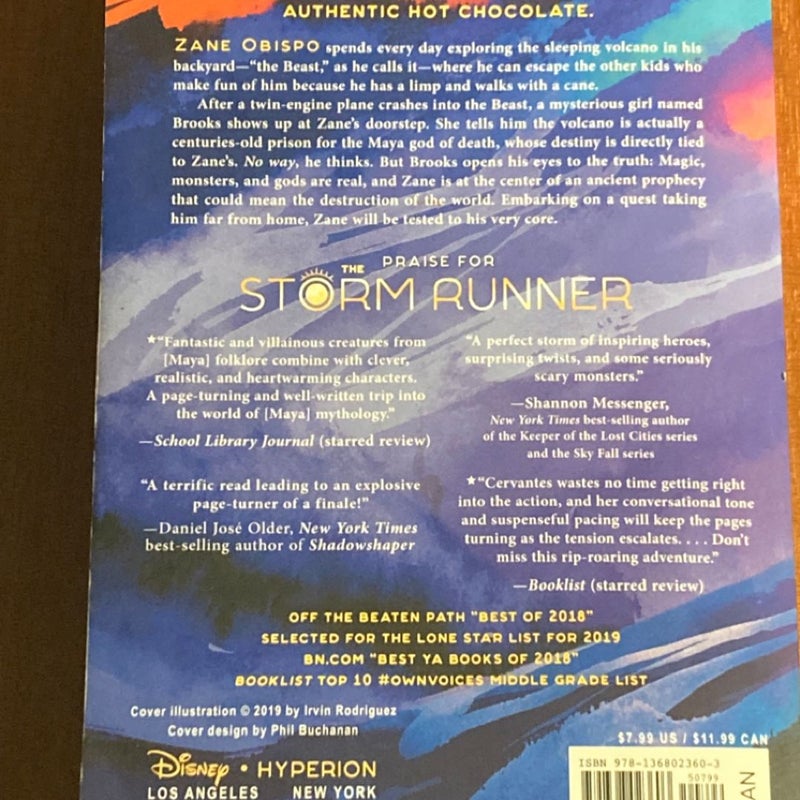 The Storm Runner