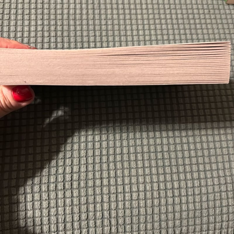 An Amish Christmas Match