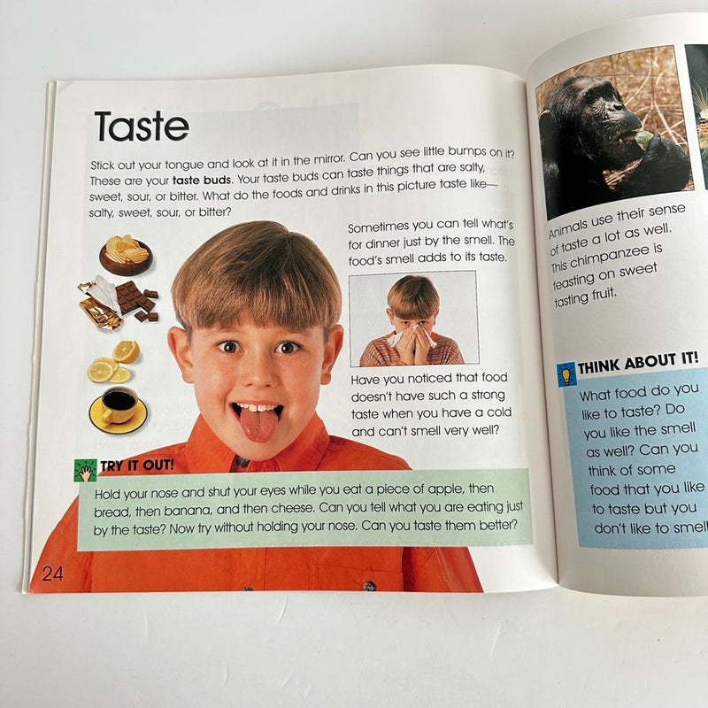 It’s Science: The Five Senses
