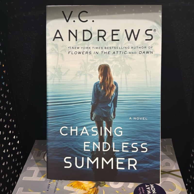 Chasing Endless Summer
