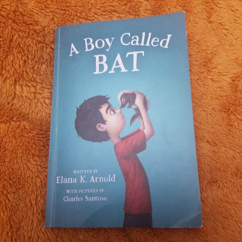 A Boy Called Bat